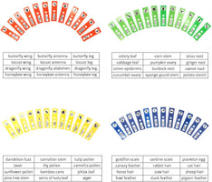 Free Sample Glass Slides Kit